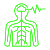 Green outline icon representing vagus nerve therapy and central nervous system regulation in Inverness.