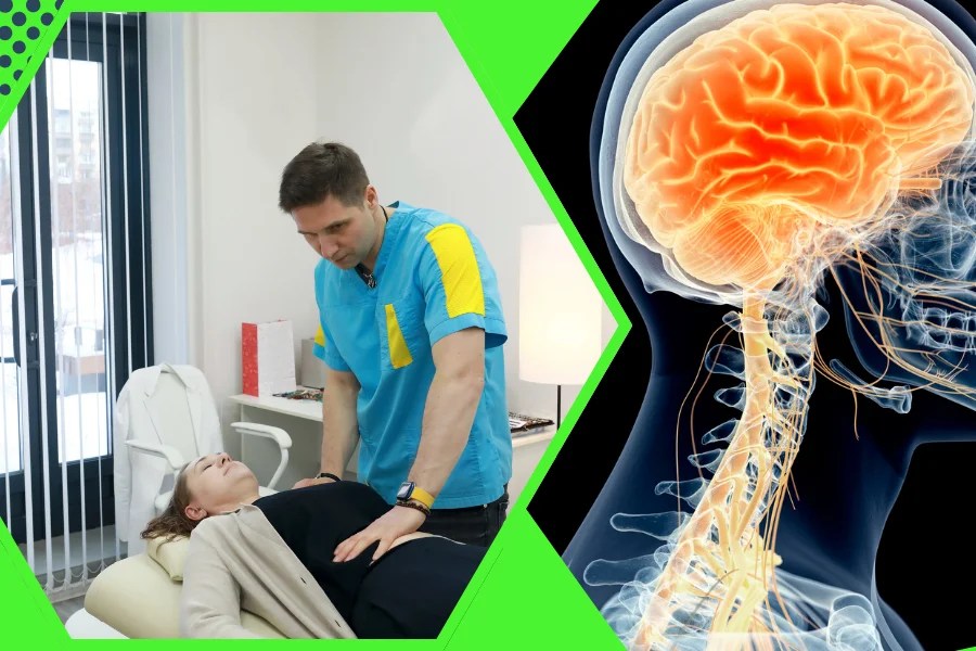 Practitioner performing abdominal vagus nerve stimulation treatment beside a nervous system diagram in Palatine.
